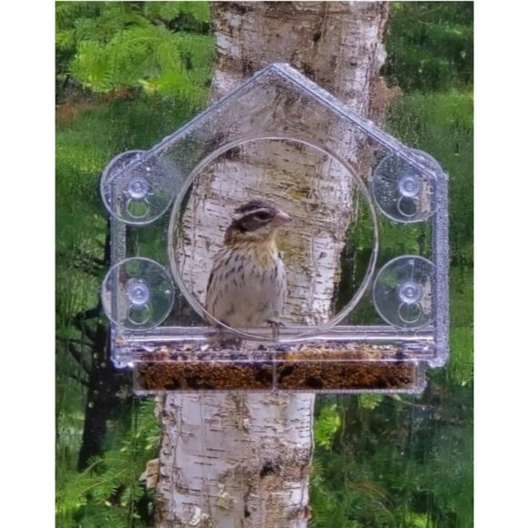 Transparent Acrylic Window Bird Feeders for Outdoors - Enhanced Suction Grip - Picture 1 of 2